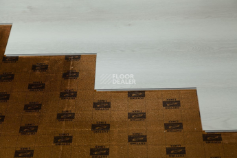 Tarkett Funky House JACK фото 2 | FLOORDEALER